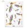 hiacynt, kwiat, ogród, łąka, wiosna, autorka grafiki Maria Kopeć, R909, hyacinth, flower, garden, meadow, spring, Hyazinthe, Blume, Garten, Wiese, Frühling, jacinto, flor, jardín, prado, primavera